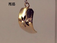 /album/galeria-de-fotos-pingente/a65-jpg5/