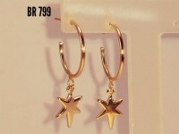 /album/brincos-pequenos/a799-jpg1/