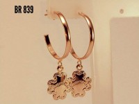 /album/brincos-pequenos/a839-jpg1/