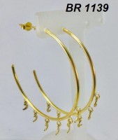 /album/brincos-pequenos/a1139-jpg/