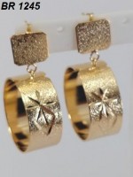 /album/brincos-pequenos/a1245-jpg/