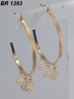 /album/brincos-pequenos/a1393-jpg/