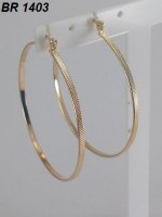 /album/brincos-pequenos/a1403-jpg/