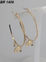 /album/brincos-pequenos/a1409-jpg/