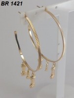 /album/brincos-pequenos/a1421-jpg/