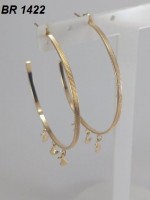 /album/brincos-pequenos/a1422-jpg/