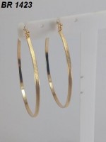 /album/brincos-pequenos/a1423-jpg/