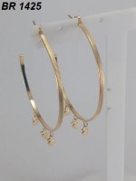 /album/brincos-pequenos/a1425-jpg/