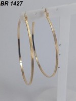 /album/brincos-pequenos/a1427-jpg/