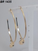 /album/brincos-pequenos/a1435-jpg/