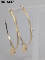 /album/brincos-pequenos/a1437-jpg1/