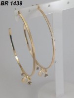 /album/brincos-pequenos/a1439-jpg1/