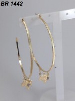 /album/brincos-pequenos/a1442-jpg1/