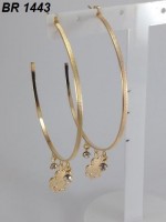 /album/brincos-pequenos/a1443-jpg1/