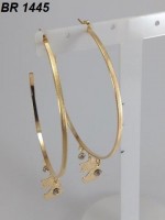 /album/brincos-pequenos/a1445-jpg1/