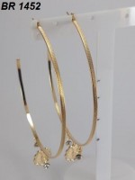 /album/brincos-pequenos/a1452-jpg1/