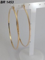 /album/brincos-pequenos/a1453-jpg1/