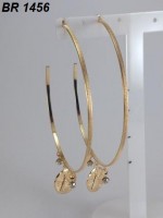 /album/brincos-pequenos/a1456-jpg1/