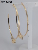 /album/brincos-pequenos/a1458-jpg1/