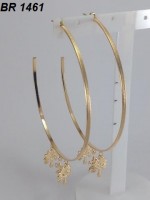 /album/brincos-pequenos/a1461-jpg1/