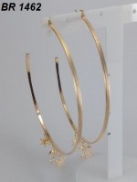 /album/brincos-pequenos/a1462-jpg1/