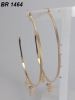 /album/brincos-pequenos/a1464-jpg1/