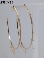 /album/brincos-pequenos/a1469-jpg1/