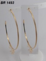 /album/brincos-pequenos/a1493-jpg1/