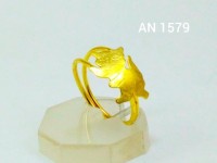 /album/galeria-de-fotos-aneis-adulto-infantil-falange-regulavel/a1579-jpg/