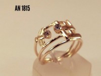 /album/galeria-de-fotos-aneis-adulto-infantil-falange-regulavel/a1815-jpg/